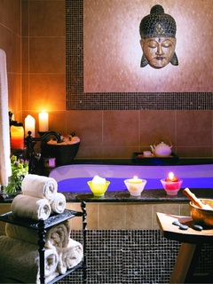 ZaSpa Dallas tub