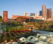 Ruibal's Plants of Texas in Dallas Farmers Market