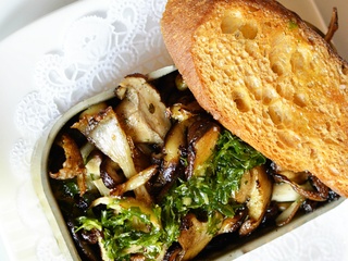 Barlata Tapas Bar mushroom lata