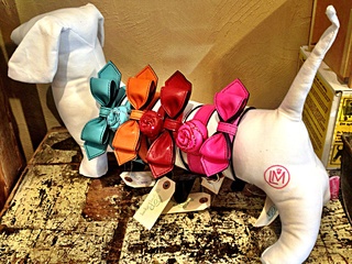 Collars at Lucky Dog Barkery
