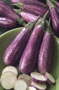 Eggplant at North Haven Gardens in Dallas