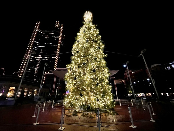 City Of Pickens Christmas Tree Lighting 2022 Sundance Square Christmas Tree Returns, But Santa Sits Out 2021 -  Culturemap Fort Worth