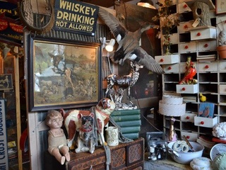 Curiosities